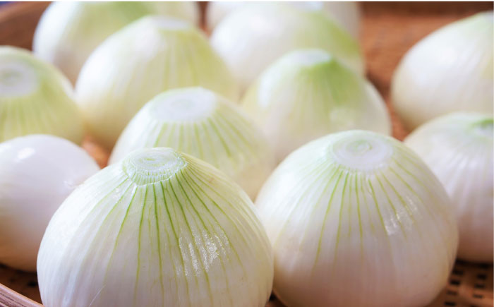 【2026年3月?発送】【甘くてジューシー 】新たまねぎ 先行予約 サラダ たまねぎ 5kg  / 南島原市 / 長崎県農産品流通合同会社 [SCB025]