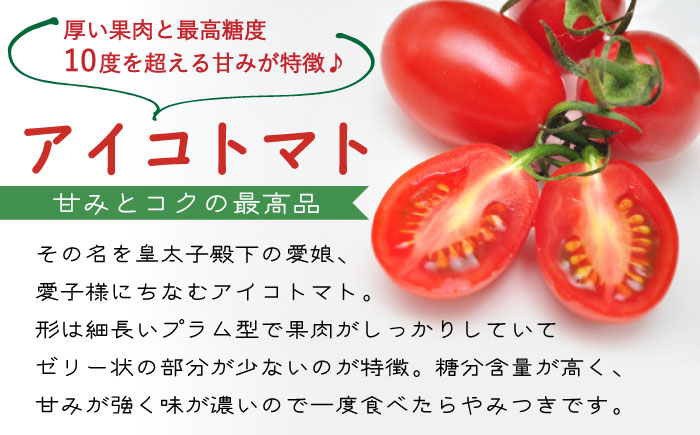 【2026年1月～発送】完熟 アイコトマト 約1kg / 南島原市 / 長崎県農産品流通合同会社 [SCB039]