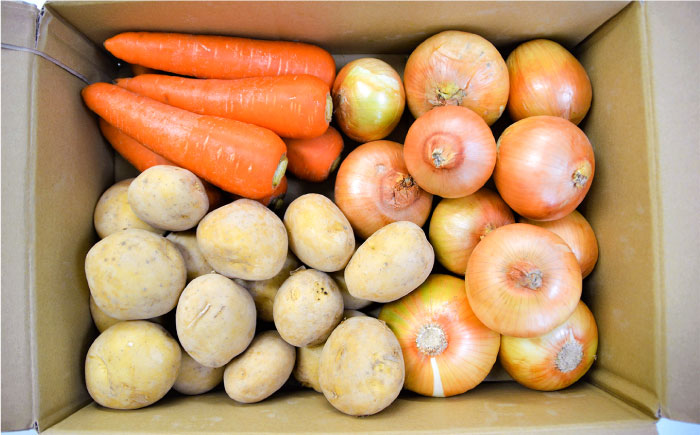 【2025年12月下旬～発送】【冬限定！】旬の定番野菜セット / じゃがいも ジャガイモ 玉ねぎ 人参 たまねぎ タマネギ にんじん 旬野菜 詰め合わせ / 南島原市 / 長崎県農産品流通合同会社 [SCB059]