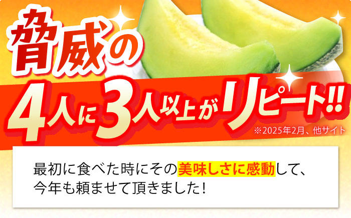【2026年6月中旬～発送】肥後 グリーンメロン 大玉 2玉 (合計4kg以上) / フルーツ 果物 / 南島原市 / 長崎県農産品流通合同会社 [SCB063]