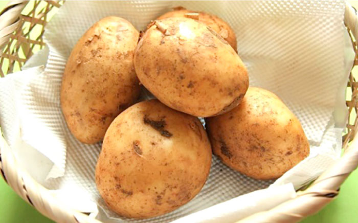 【2026年5月下旬～発送】【先行予約！】春の万能野菜セット 約5kg / じゃがいも ジャガイモ たまねぎ 玉ねぎ タマネギ にんじん 人参  旬野菜 詰め合わせ / 南島原市 / 長崎県農産品流通合同会社 [SCB064]