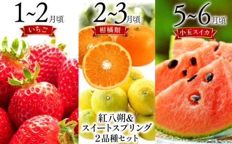 【6回定期便 Aコース】フルーツ定期便 旬のフルーツセット / いちご 柑橘類 スイカ メロン 梨 キウイ / 詰め合わせ 春フルーツ 夏フルーツ 秋フルーツ 冬フルーツ / 南島原市 / 長崎県農産品流通合同会社 [SCB065]
