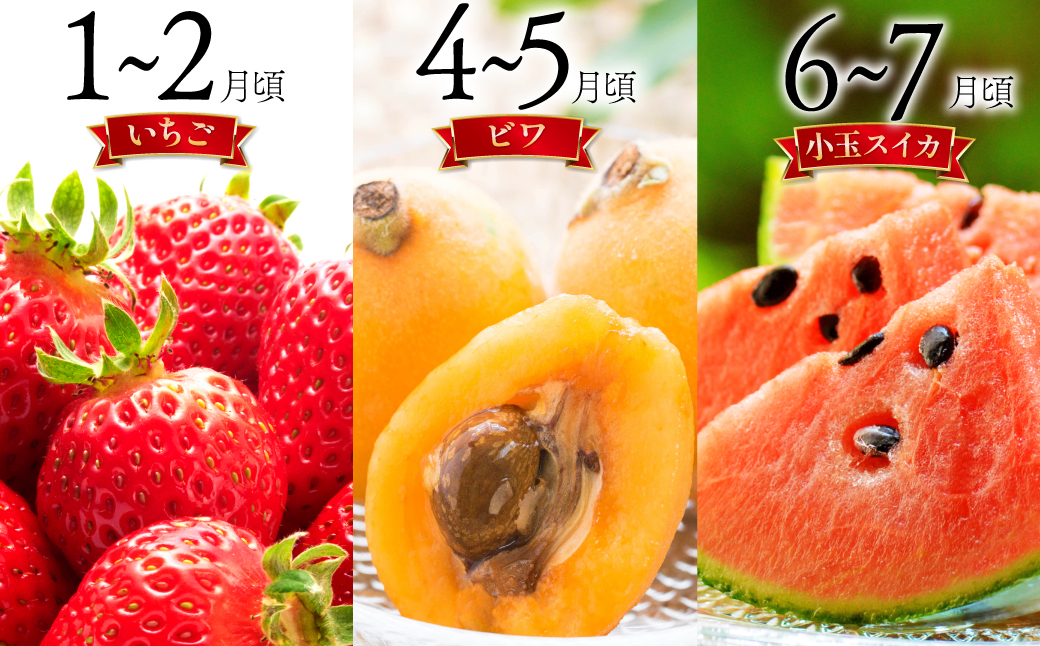 【6回定期便 Bコース】フルーツ定期便 旬のフルーツセット / フルーツ 詰め合わせ 春フルーツ 夏フルーツ 秋フルーツ 冬フルーツ / 南島原市 / 長崎県農産品流通合同会社 [SCB066]