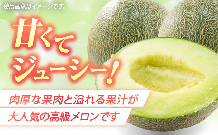 【2026年5月中旬～発送】肥後グリーンメロン 2玉（合計4kg以上））/ 果物 フルーツ / 南島原市 / 長崎県農産品流通合同会社 [SCB088]