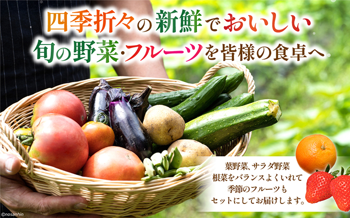 【6回定期便】毎月連続　「旬の野菜・フルーツ」 詰め合わせ セット（13品～15品）/ 野菜 定期便 やさい 定期便 野菜セット やさいセット 春野菜 夏野菜 秋野菜 冬野菜 旬新鮮 / 南島原市 /長崎県農産品流通合同会社 [SCB091]