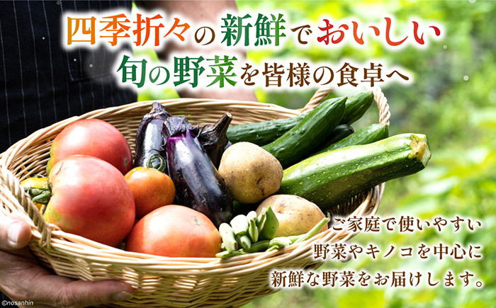【6回定期便】毎月連続 旬の新鮮 野菜詰め合わせセット（10品～12品）/ 野菜 定期便 やさい 定期便 野菜セット やさいセット 春野菜 夏野菜 秋野菜 冬野菜 旬新鮮 / 南島原市 /長崎県農産品流通合同会社[SCB095]