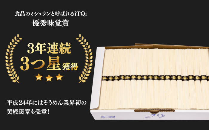 【手のべ陣川】 島原 手延べ そうめん 3kg / S-30 / 南島原市 / ながいけ [SCH021]