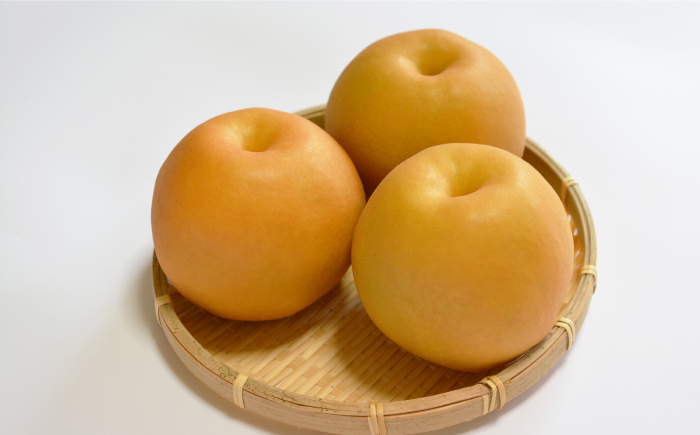 【2026年8月～発送】【南島原産】豊水 梨 （12個から14個） / 果物 フルーツ / 南島原市 / ながいけ [SCH038]