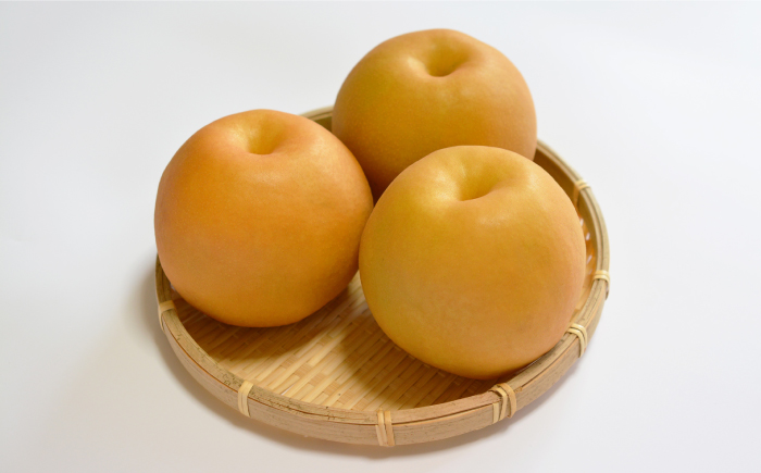 【2026年9月～発送】【南島原産】新高 梨（8個から9個） / 南島原市 / ながいけ [SCH039]