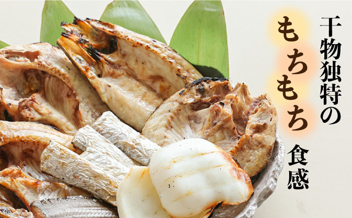 【職人の技】旬の干物 詰め合わせ 3～4種（6～8パック） / 魚 干物 干もの セット  / 南島原市 / ながいけ [SCH048]