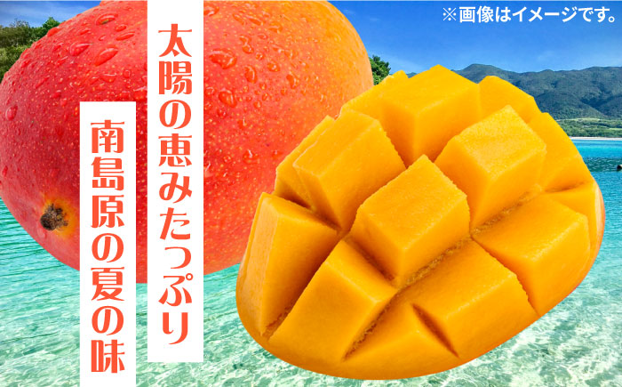 【2026年7月～発送】南島原産完熟マンゴー２玉 / フルーツ ふるーつ 果物 くだもの / 南島原市 / ながいけ [SCH064]