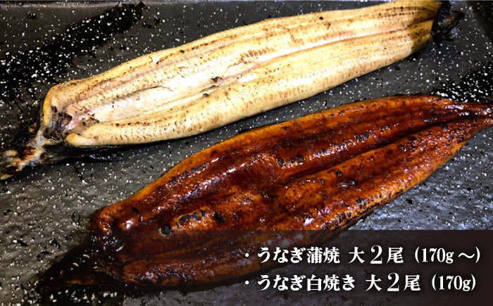 【須川屋台道場】うなぎ 蒲焼 2尾 ・ 白焼き 2尾 セット  / うなぎ ウナギ 鰻  蒲焼 白焼 / 南島原市 / はなぶさ [SCN009]