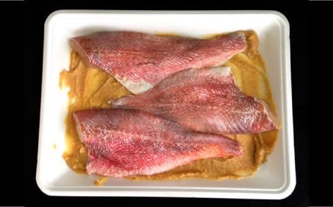 【老舗料理店が調合】白身魚 （メヌケ）  西京味噌漬け 3枚 / 西京漬け 魚 さかな 焼き魚 味噌漬け / 南島原市 / はなぶさ [SCN025]