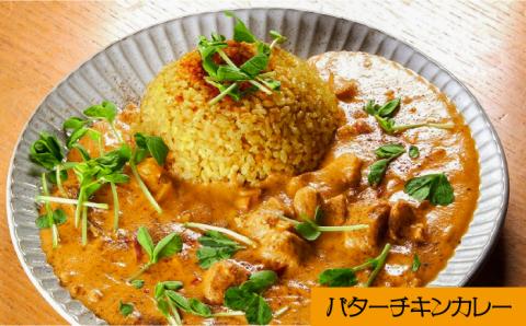 スパイスカレー 食べ比べセット 3種類 150g×各2 計 6パック  / バターチキンカレー グリーンカレー キノコとセロリの キーマカレー  インドカレー タイカレー /  南島原市 / はなぶさ [SCN051]