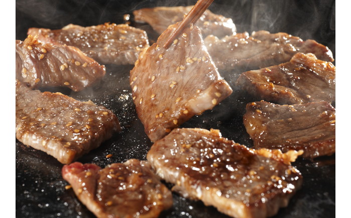 【豪華2種セット】 牛サガリ肉・豚 ロース 西京味噌漬け セット / 牛 豚ロース 味付け肉 味噌漬け みそ漬け ロース 焼くだけ /  南島原市 / はなぶさ [SCN059]