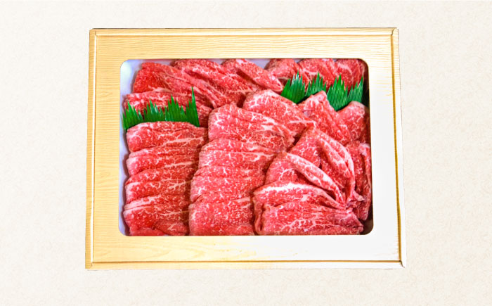 【6回定期便】長崎和牛 もも肉 400g   / もも スライス うす切り 薄切り 牛肉 すき焼き すきやき しゃぶしゃぶ /  南島原市 / はなぶさ [SCN077]