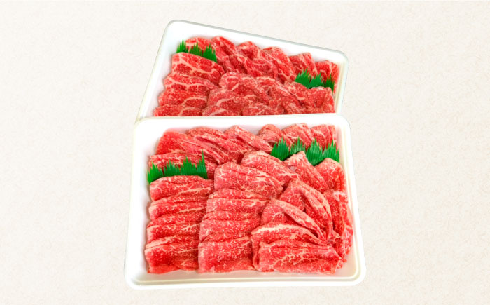 【12回定期便】長崎和牛 もも肉 800g   / もも スライス うす切り 薄切り 牛肉 すき焼き すきやき しゃぶしゃぶ /  南島原市 / はなぶさ [SCN081]