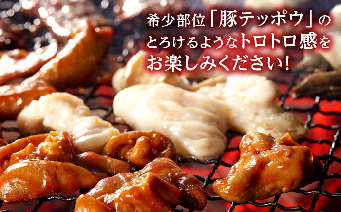 ホルモン 塩焼き・ニンニク味噌焼きセット 計600g (300g×2種) / ほるもん 肉 豚肉 直腸 豚テッポウ 希少部位 国産 / 南島原市 / はなぶさ [SCN136]