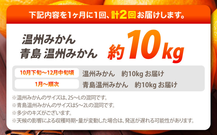 【2026年10月下旬～発送】【2回定期便】温州みかん 食べ比べ 10kg×2回 / みかん 青島みかん ミカン 蜜柑 甘い フルーツ 果物 / 南島原市 / 蜜柑屋まつお [SCQ004]