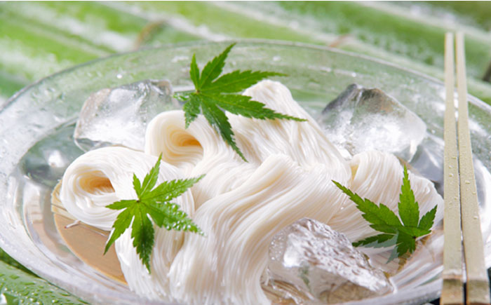 野村屋の島原 手延 素麺 絹の輝 40束（小袋入り） / 南島原市 / 野村屋 [SCS009]