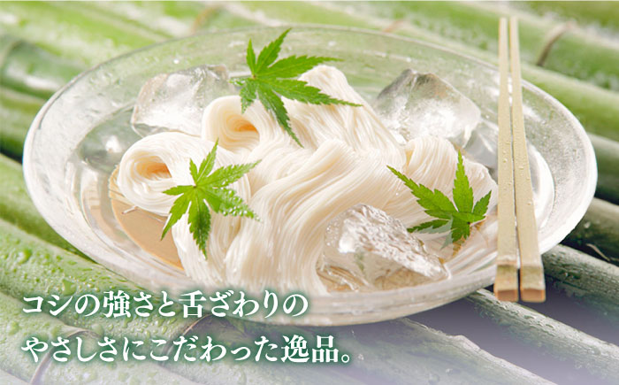 【380年以上の伝統製法】野村屋の島原手延素麺 絹の輝 15束（小袋入り）/ 南島原市 / 野村屋 [SCS010]