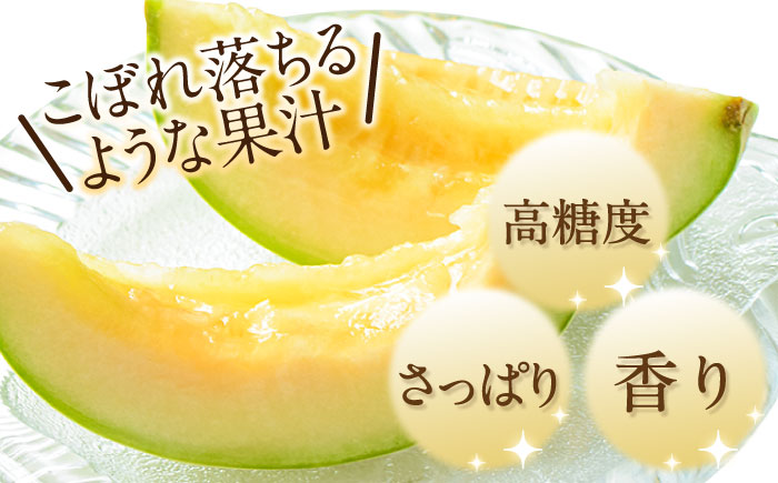 【2026年4月下旬～発送】【根強い人気！】 プリンスメロン 約4kg （7～13玉）/ 南島原市 / 南島原果物屋 [SCV010]