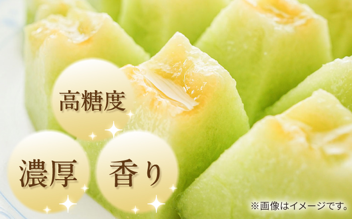 【2026年5月～発送】【さわやかな味!】訳あり タカミメロン 3箱セット（1箱 3～6玉）（傷もの）/ メロン めろん フルーツ 果物 / 南島原市 / 南島原果物屋 [SCV027]