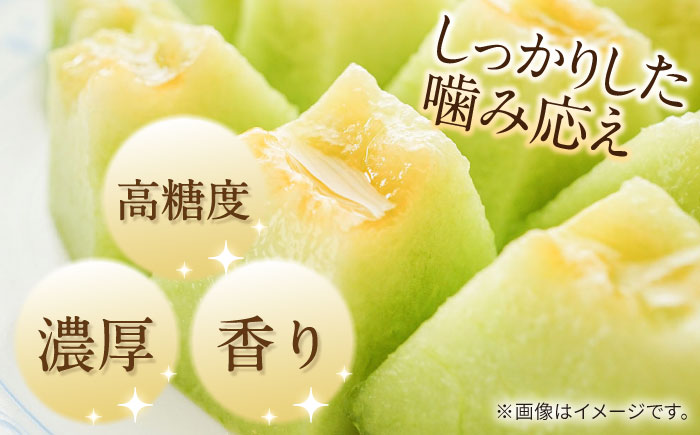 【2026年5月～発送】【さわやかな味!】訳あり タカミメロン 1玉 約1kg（傷もの）/ メロン めろん フルーツ 果物 / 南島原市 / 南島原果物屋 [SCV028]