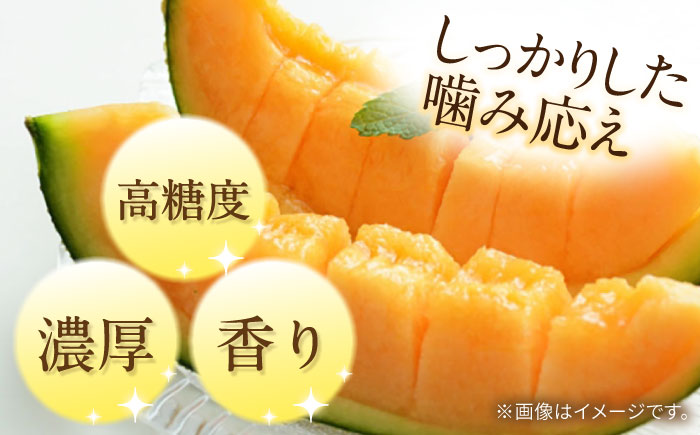 【2026年5月～発送】タカミメロン レッド 1玉 / メロン めろん フルーツ 果物 / 南島原市 / 南島原果物屋 [SCV029]