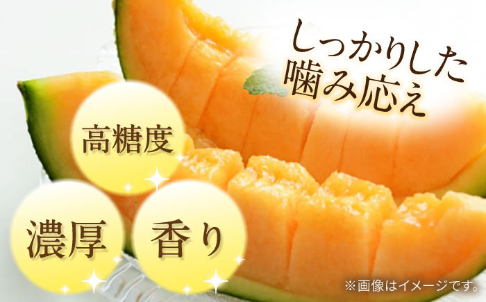 【2026年5月～発送】タカミメロン レッド 2箱 （1箱 3～6玉）/ メロン めろん フルーツ 果物 / 南島原市 / 南島原果物屋 [SCV032]