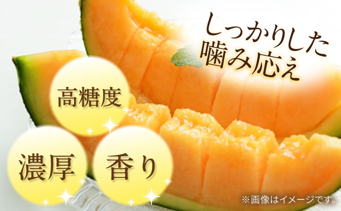 【2026年5月～発送】訳あり タカミメロン レッド 2玉 / メロン めろん フルーツ 果物 / 南島原市 / 南島原果物屋 [SCV035]