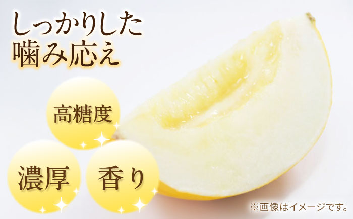 【2026年5月～発送】メロン イエローキング 2箱 （1箱 3～6玉）/ メロン めろん フルーツ 果物 / 南島原市 / 南島原果物屋 [SCV040]