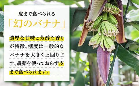 【6回定期便】【皮ごと食べられる！】なかなかバナナ 5本〈7月〜9月は発送停止〉 / バナナ フルーツ 果物 定期便 フルーツ定期便 / 南島原市 / ミナサポ [SCW048]