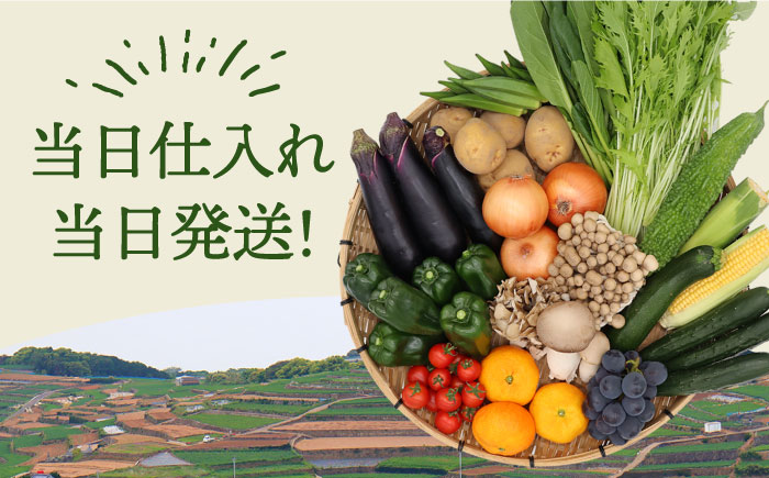 野菜・フルーツ・キノコ詰め合わせ 15品目以上 / 野菜セット　野菜詰め合わせ / 南島原市 / 吉岡青果 [SCZ001]