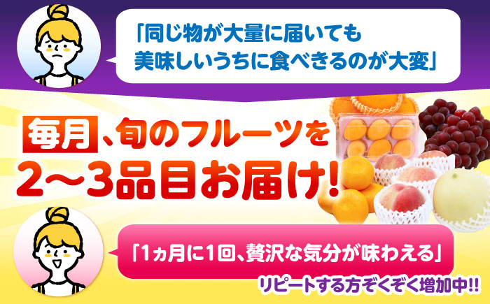 【12回定期便】＜2026年1月～初回発送＞フルーツ定期便 旬の果物をお任せで2～3品目お届け（2～3品目×12回）季節の果物 詰め合わせ 果物 セット / フルーツ 果物 春フルーツ 夏フルーツ 秋フルーツ 冬フルーツ /  南島原市 / 吉岡青果 [SCZ014]