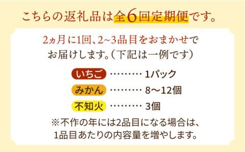 【6回定期便 隔月】フルーツ定期便 旬の果物 詰め合わせ 季節の果物をお任せで2～3品目お届け（2～3品目×6回）/ 果物 春フルーツ 夏フルーツ 秋フルーツ 冬フルーツ / 南島原市 / 吉岡青果 [SCZ016]