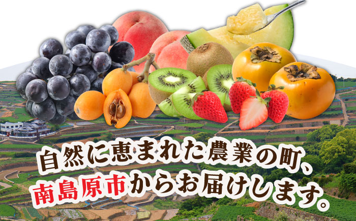 【4回定期便】フルーツ定期便 旬の果物をお任せで3品目お届け（3品目×4回） / 季節の果物 春フルーツ 夏フルーツ 秋フルーツ 冬フルーツ / 南島原市 / 吉岡青果 [SCZ020]