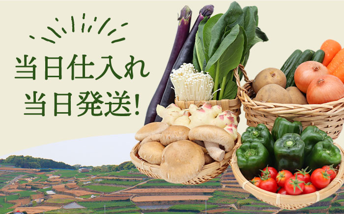【毎月コース】野菜 キノコ 果物 11品目 詰め合わせ 3回定期便 / 野菜定期便 やさい定期便 きのこ セット 定期便 / 南島原市 / 吉岡青果 [SCZ022]