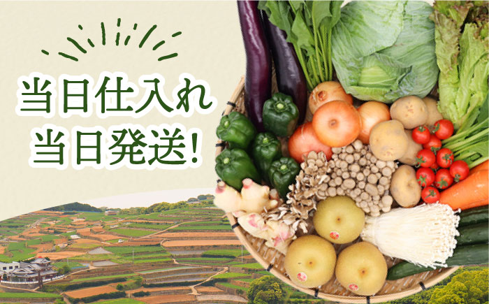 【毎月コース】豪華！野菜 果物 きのこセット 15品目以上 3回定期便 / 野菜定期便 やさい定期便 フルーツ 果物 キノコ 詰め合わせ / 南島原市 / 吉岡青果 [SCZ023]