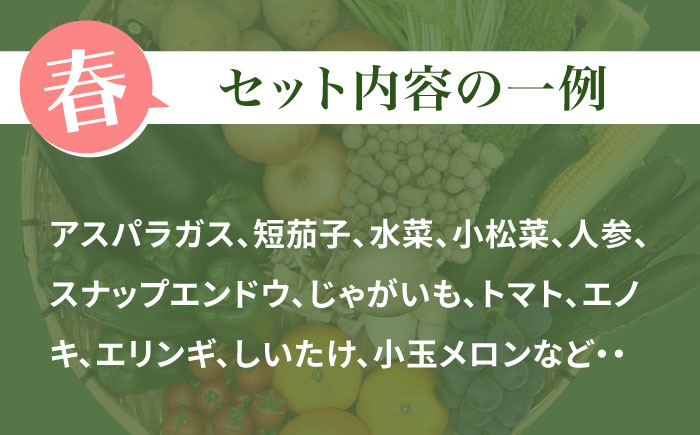 【10回定期便】 豪華！野菜 果物 きのこセット 15品目以上  / 野菜定期便 やさい定期便 フルーツ 果物 キノコ 詰め合わせ / 南島原市 / 吉岡青果 [SCZ025]