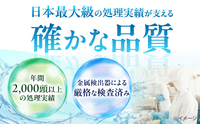 猪肉 ミンチ 1kg 雲仙いのしし / ひき肉 肉 イノシシ ジビエ いのしし ハンバーグ / 南島原市 / 株式会社高田牧場 [SDB012]