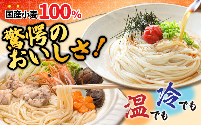 山道うどん 国産小麦100％ 160g×30袋 4.8kg / 乾麺 麺 / 南島原市/ そうめんの山道 [SDC011]