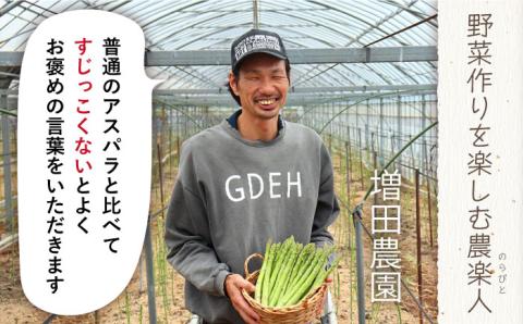 【生で食べられる】スイートアスパラ L～3L 約1.5kg / アスパラ あすぱら アスパラガス 3L 増田農園 アスパラガス 甘い / 南島原市 / 贅沢宝庫 [SDZ014]