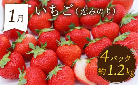 【6回定期便 奇数月コース】＜2026年1月～初回発送＞フルーツ定期便 旬のフルーツをセット/ いちご メロン ハウスみかん 梨 柿 など  / 定期便 旬 フルーツ 果物 春フルーツ 夏フルーツ 秋フルーツ 冬フルーツ / 南島原市 / 贅沢宝庫 [SDZ021]