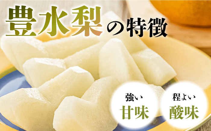 【2026年8月～発送】【口いっぱいのみずみずしさ！】豊水梨 約5kg 梨専門 八木農園 / 梨 なし ナシ / 南島原市 / 贅沢宝庫 [SDZ033]