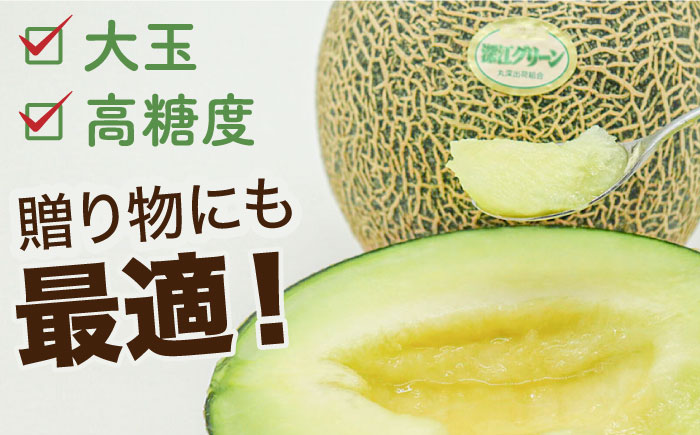 深江グリーンメロン2玉（4kg以上）  / フルーツ 果物 / 南島原市 / 贅沢宝庫 [SDZ037]