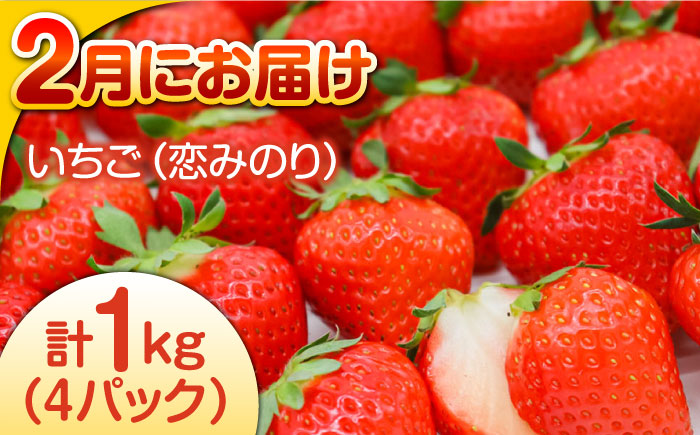 【偶数月 6回定期便】長崎・南島原グルメ バラエティ定期便 / バラエティ セット 野菜定期便 フルーツ定期便 フルーツ 果物 野菜 やさい そうめん 角煮 皿うどん ちゃんぽん / 南島原市 / 贅沢宝庫 [SDZ039]