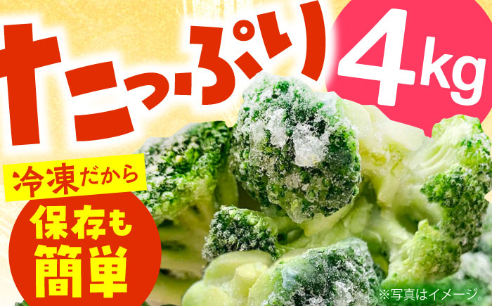 【2026年1月下旬～順次発送予定】たっぷり 冷凍 ブロッコリー 4kg（1kg × 4袋） / ブロッコリー ぶろっこりー 野菜 やさい 小分け 冷凍 / 南島原市 / 池田海陸物産 [SEW008]