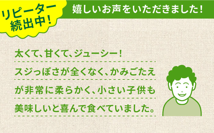 【2026年3月～発送】【数量限定】甘い！柔らかい！厳選 グリーン アスパラガス 約1kg / 採れたて 新鮮 旬 産地直送 野菜  3L・2L・L・Mサイズ  ミックス / 南島原市 / ほしのYA [SEY001]