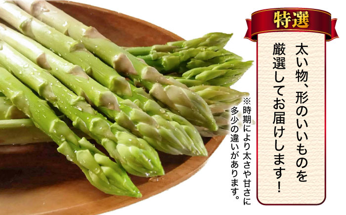 【2026年3月～発送】【星のアスパラ】特選 3L・2L・L 春 の グリーン アスパラガス 約1kg / アスパラ アスパラガス 野菜 / 南島原市 / ほしのYA [SEY005]